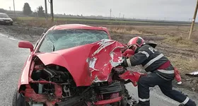 Galerie foto - poza 1