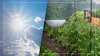 Prognoza meteo azi, 20 iulie 2026. Vin din nou furtuni și grindină după caniculă! Rafalele de vânt vor atinge 80 km/h