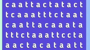 Test de inteligență | Numai cei cu IQ peste 200 găsesc cuvântul „Cat” în doar 20 de secunde!