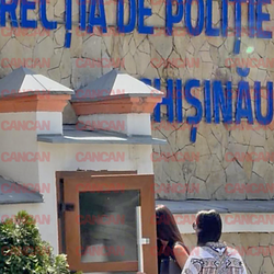Imagine Galerie #3