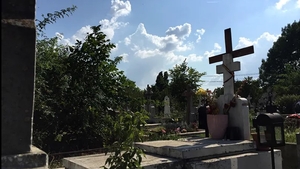 Au ieșit noi detalii cutremurătoare după ce profesoara din Arad moartă de Covid-19 a fost deshumată. Ce au descoperit anchetatorii