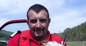 Galerie foto - poza 3