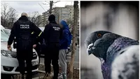 Ce amendă IREALĂ a primit un bărbat pentru că a hrănit porumbeii, în sectorul 6: „Fără să stăm la discuții!”