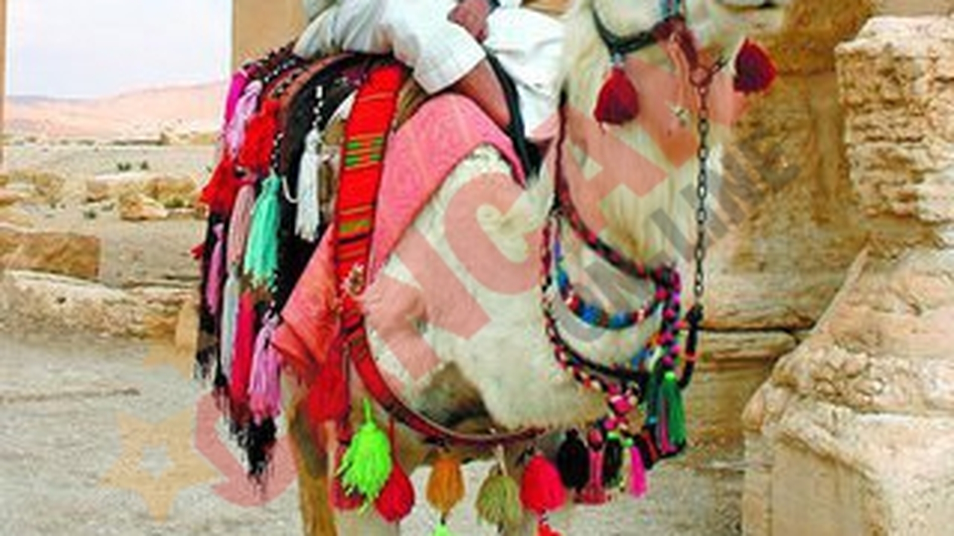 Radu Valcan a devenit musulman