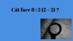Testul de inteligenţă pe care îl pot rezolva şi elevii la Evaluarea Naţională! Cât face 8:2(2+2)?