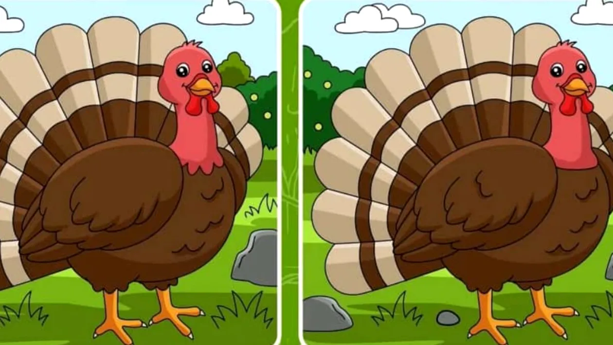 TEST IQ |  Găsiți cele 3 diferențe dintre aceste două poze. Geniile o fac în maximum 10 secunde!