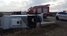 Galerie foto - poza 4