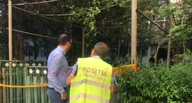 Galerie foto - poza 2