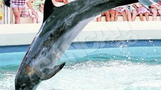 Ce obiective turistice poti vizita pe litoral