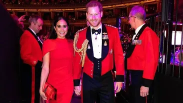 S-a aflat câți bani primesc Meghan Markle și Prințul Harry pentru un discurs. Sumele pe care le iau sunt o mică avere