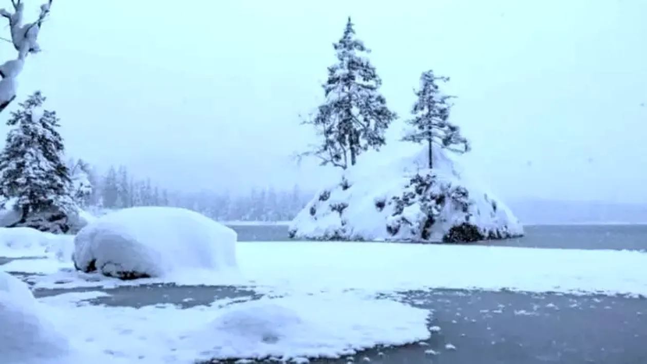 Iluzie optică de iarnă | Ai doar 15 secunde ca să găseşti ursul polar din imagine