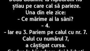 BANC | Două doamne, la hipodrom, nu știau pe ce cal să parieze: "Ce mărime ai la sâni?"