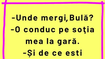 BANC | Bulă își conduce nevasta la gară