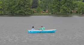 Galerie foto - poza 4