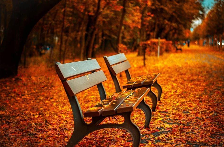 Cum va fi vremea în luna noiembrie în România. Unde va ninge înainte să vină iarna, din punct de vedere calendaristic