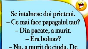 BANC | "Ce mai face papagalul tău?"