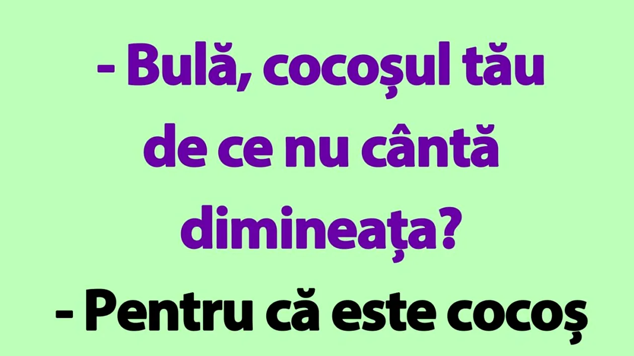 BANC | Bulă, cocoșul tău de ce nu cântă dimineața?