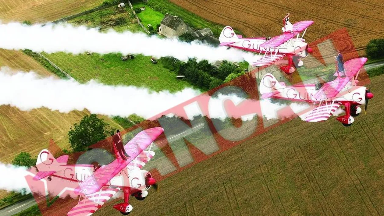 S-au casatorit pe avion