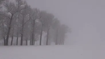 Avertizare ANM emisă sâmbătă dimineață. Românii sunt sfătuiți să rămână în casă