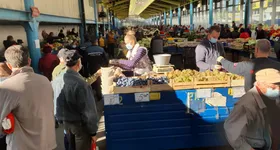 Galerie foto - poza 2