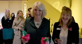 Galerie foto - poza 2