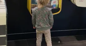 Galerie foto - poza 4