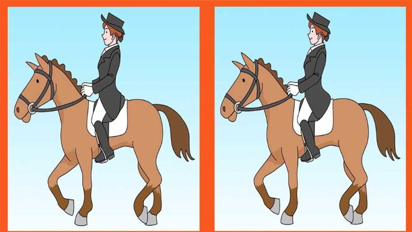 Test de perspicacitate | 3 diferențe în maximum 31 de secunde: Le puteți identifica pe toate?