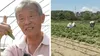 Coreeanul care a ales România în locul țării natale. Ce cultivă în zecile de solarii din Prahova