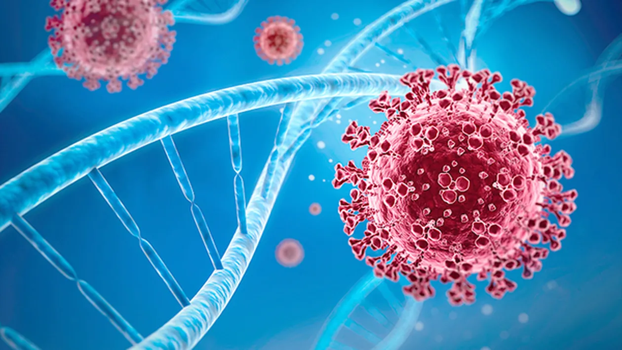 Tulpina din Brazilia a provocat reinfectarea mai multor persoane vindecate