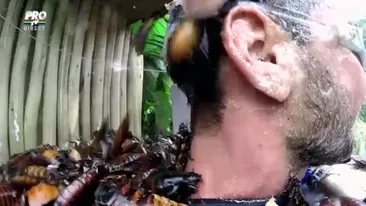 Clipe de groaza pentru Dorian Popa in jungla africana! A plans cu gandacul in gura