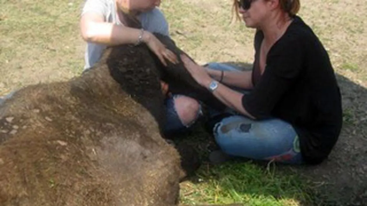 Cristina Topescu, alaturi de caii muribunzi adusi din Padurea Letea