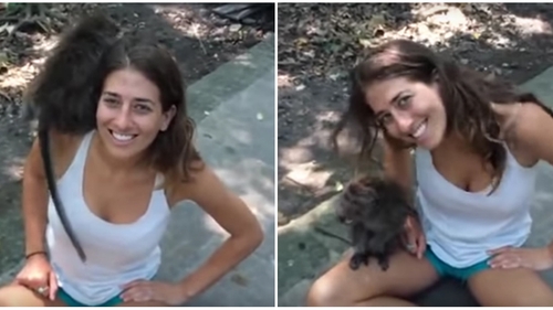 A vrut sa se filmeze langa maimuta asta, dar totul a luat-o razna in doar cateva secunde! La inceput e adorabila, dar pe urma… VIDEO