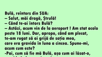 BANC | Bulă se întoarce din America