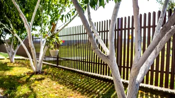 Ce pățesc proprietarii de case care încalcă linia de hotar. Ce distanță trebuie respectată