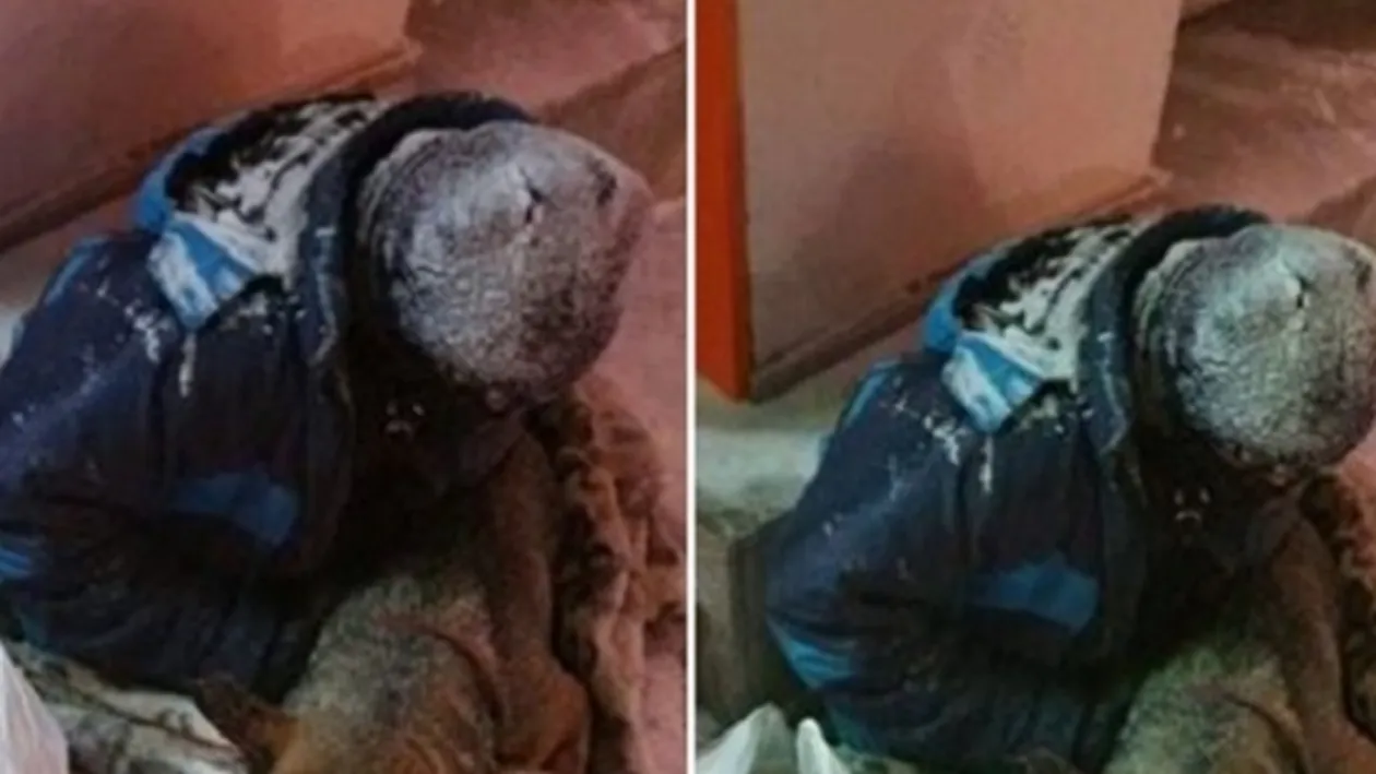 Fratele cerşetorului de la Piaţa Victoriei repetă povestea! Mesajul emoţionant care a revoltat iubitorii de animale