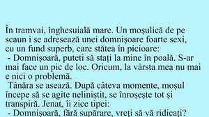 BANC | "Domnișoară, puteți să stați la mine în poală!"