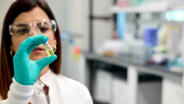 Alertă epidemiologică în România! S-a răspândit virusul ”limbii albastre” și în țara noastră