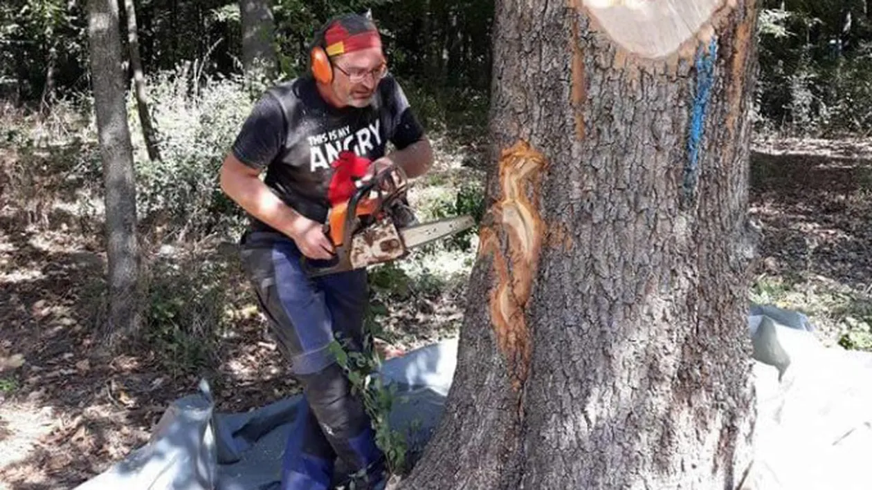 Un craiovean a devenit faimos în lume după ce a transformat copacii putrezi în opere de artă. Minunile lui Gabi Rizea!