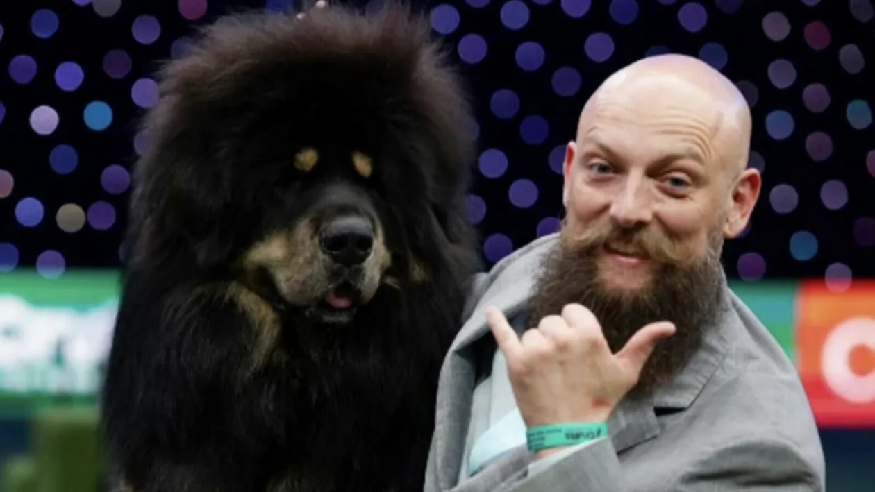 Viking, câinele Mastiff Tibetan de 55 de kg, care a adus titlul mondial în România, dar și pentru rasa lui! Ce dietă are