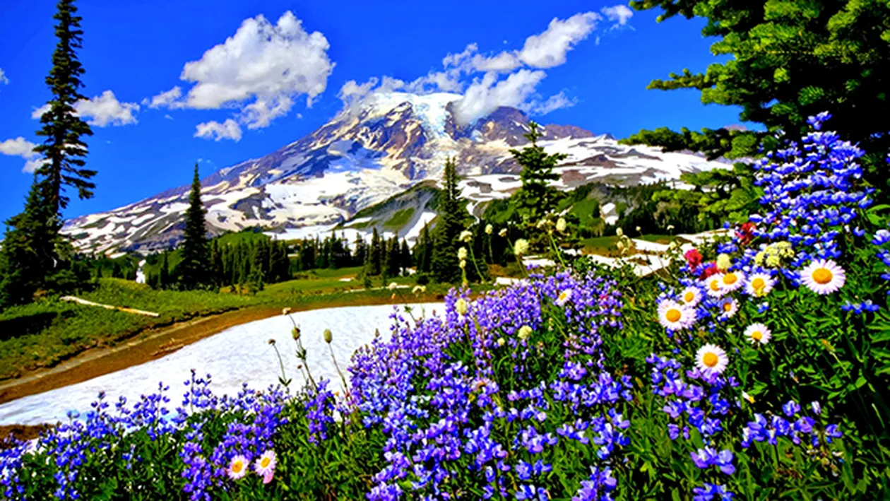 Ti-ai facut planuri pentru acest weekend? Vezi cum va fi vremea la MARE si la MUNTE