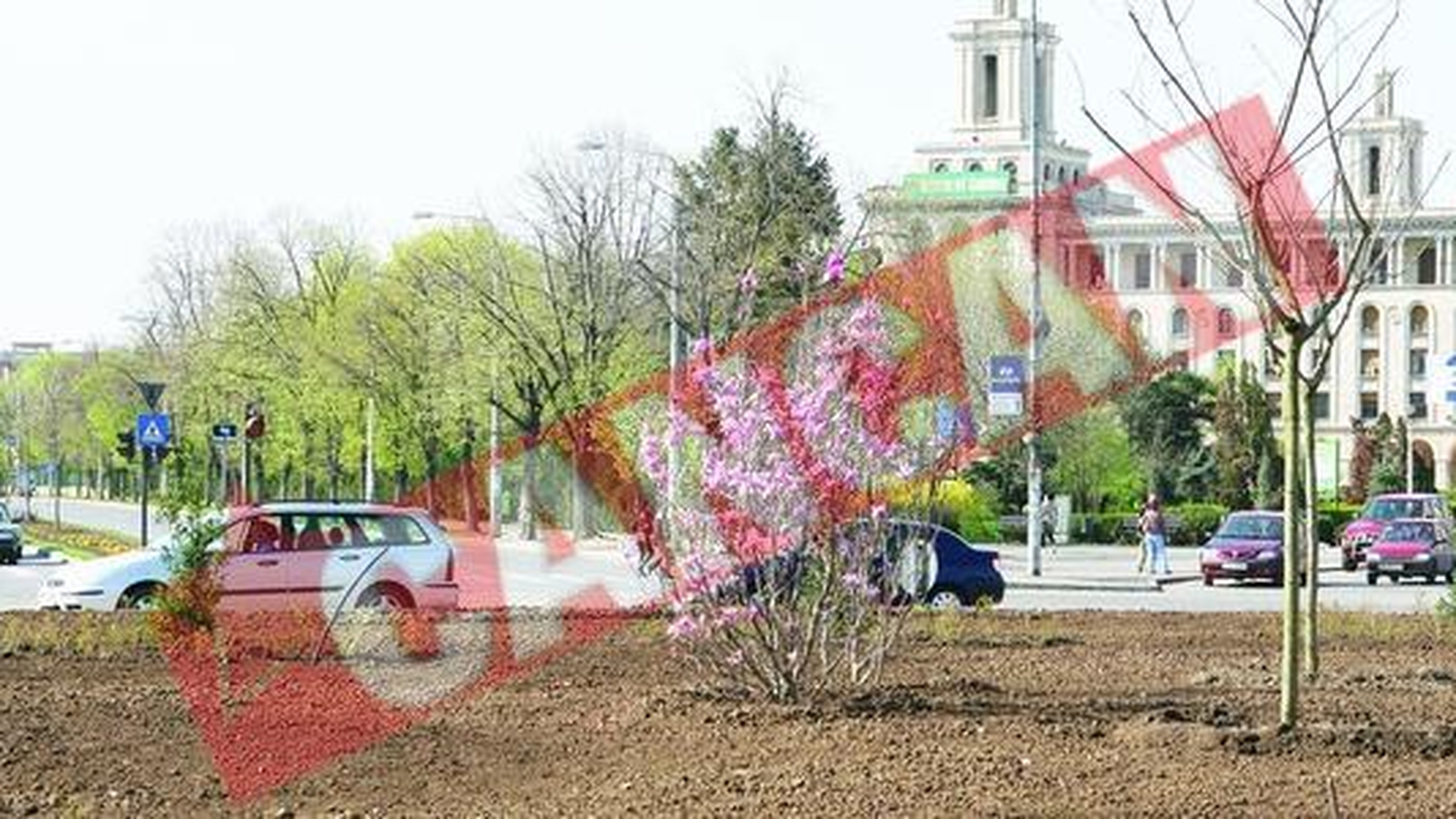 Romanii au furat magnoliile plantate pentru Bush si Putin