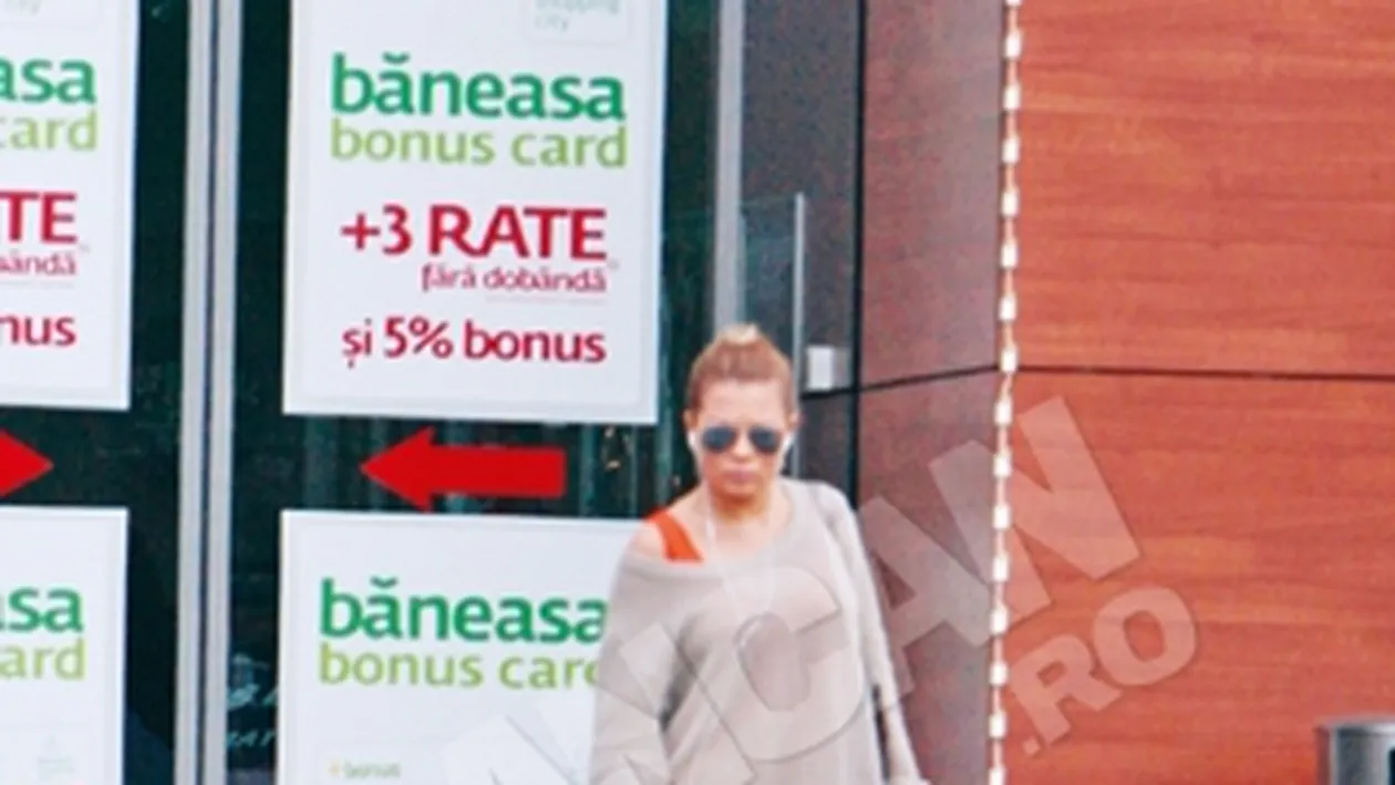 Gina Pistol  are preocupari de gospodina