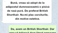 BANCUL ZILEI | Vreau să adopt o pisică de rasă pură