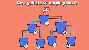 Test de logică | Care dintre cele 7 găleți se va umple prima cu apă?