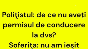 BANCUL ZILEI | Polițistul și șoferița fără permis de conducere