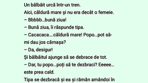 BANCUL ZILEI | Un bâlbâit urcă într-un tren