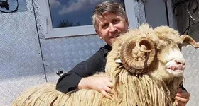 Galerie foto - poza 1