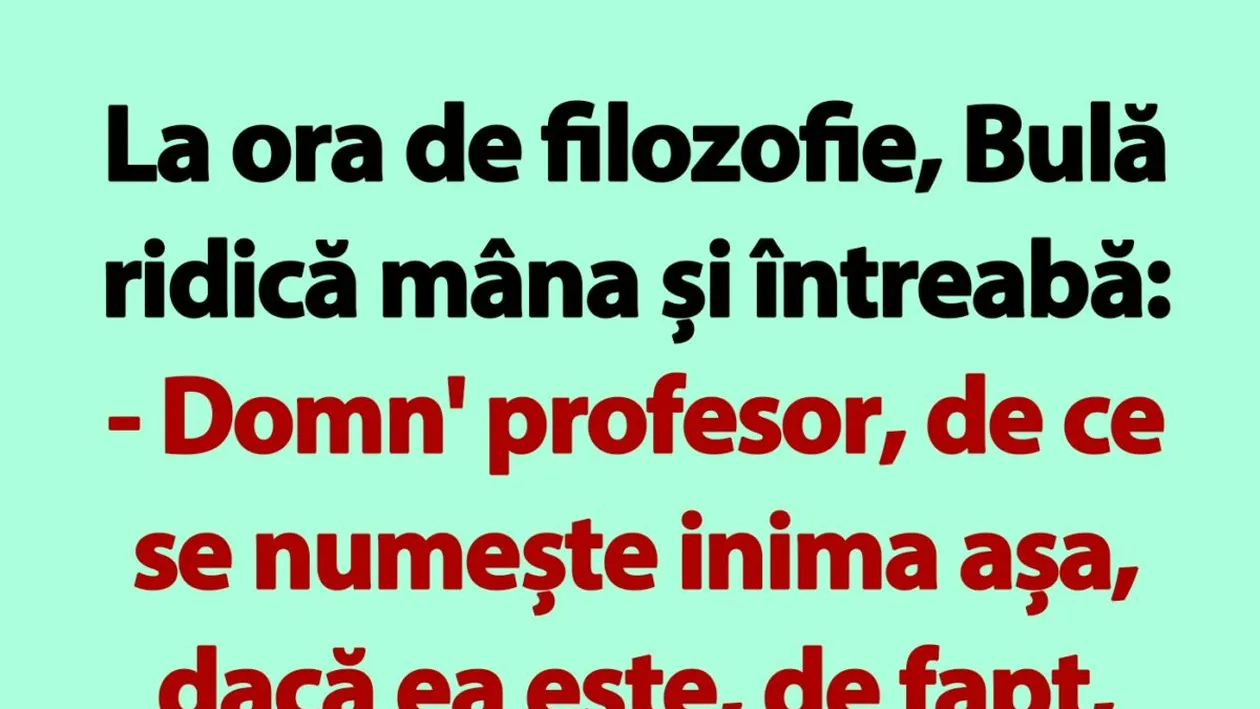 BANC | La ora de filozofie, Bulă ridică mâna și întreabă