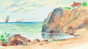 Iluzie optică pentru genii! Găsiți cele 4 animale ascunse în imagine. Aveți doar 8 secunde la dispoziție