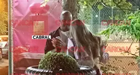 Galerie foto - poza 3